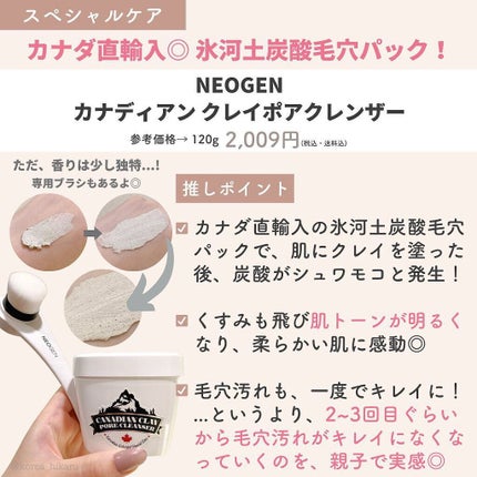 カナディアンクレイ ポア クレンザー/NEOGEN/洗い流すパック・マスクを使ったクチコミ(3枚目)