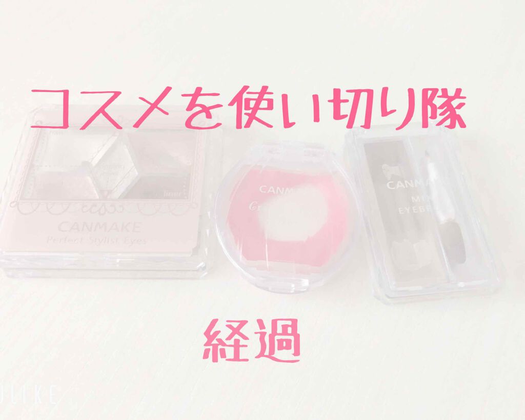 【旧品】パーフェクトスタイリストアイズ/キャンメイク/アイシャドウパレットを使ったクチコミ（1枚目）