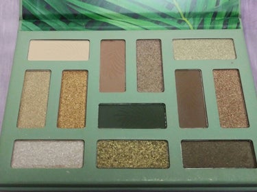 OUT IN THE WILD eyeshadow palette/essence/アイシャドウパレットを使ったクチコミ（3枚目）