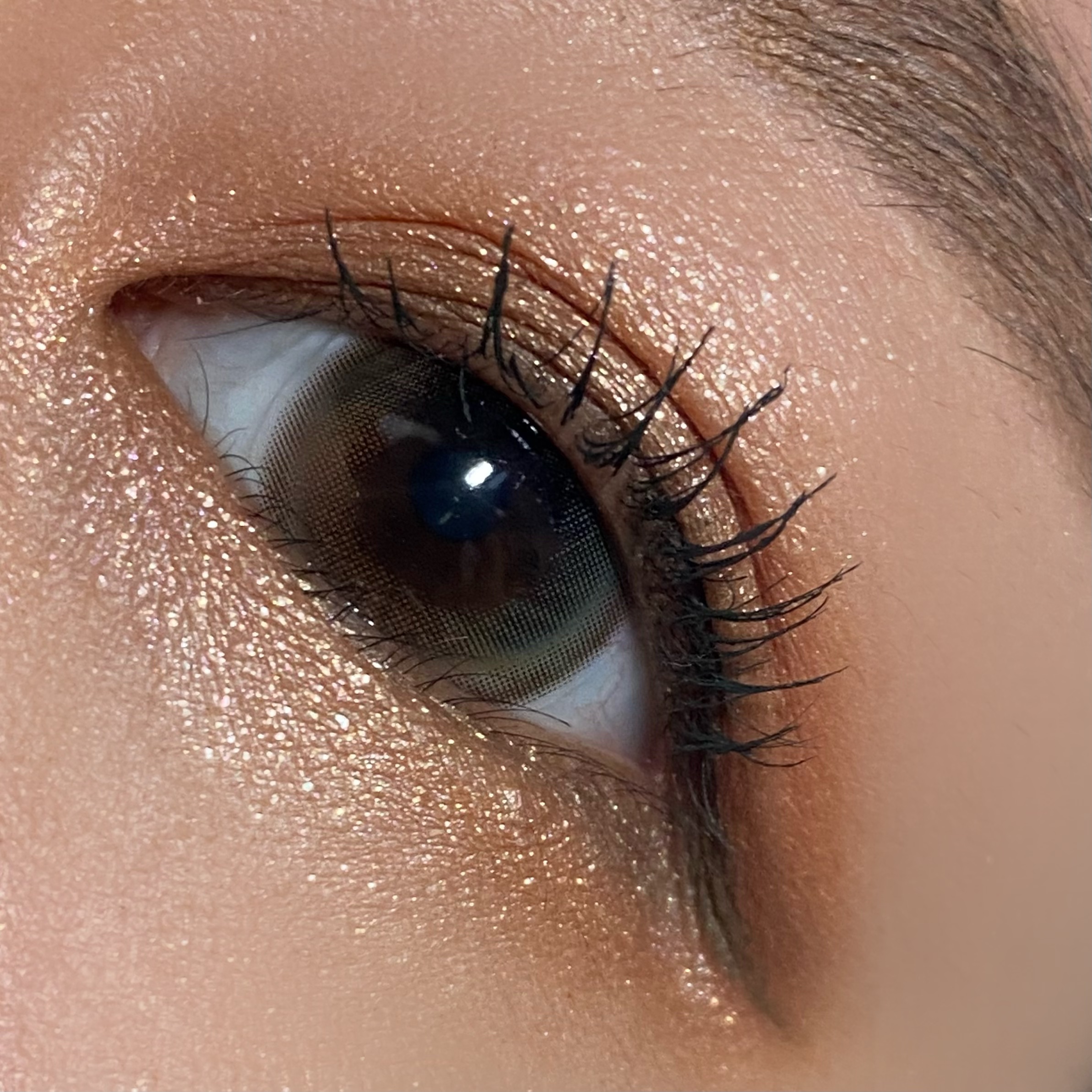 ル・ヌフ・ジバンシイ/GIVENCHY/アイシャドウパレットを使ったクチコミ（2枚目）