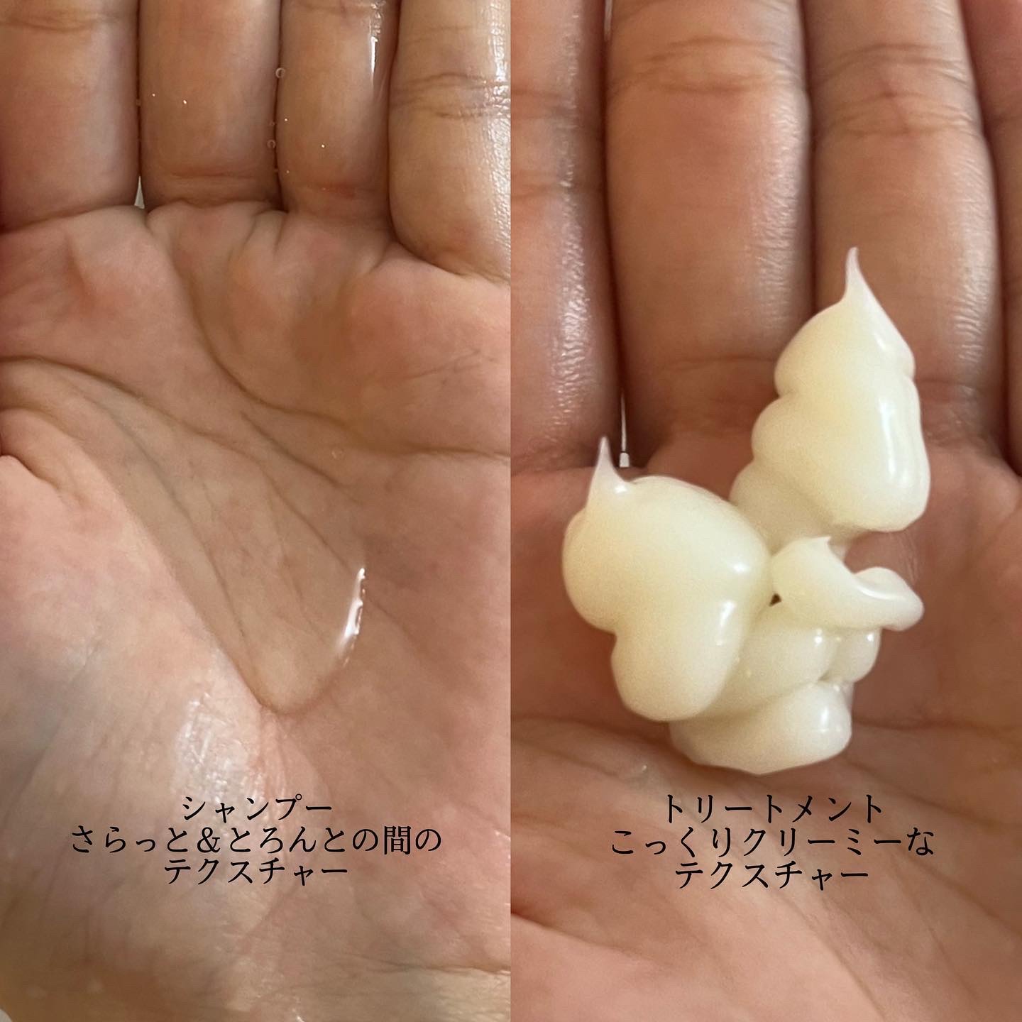 ドリーミー モイスト シャンプー/ヘアトリートメント/THERATIS/市販シャンプーを使ったクチコミ（3枚目）