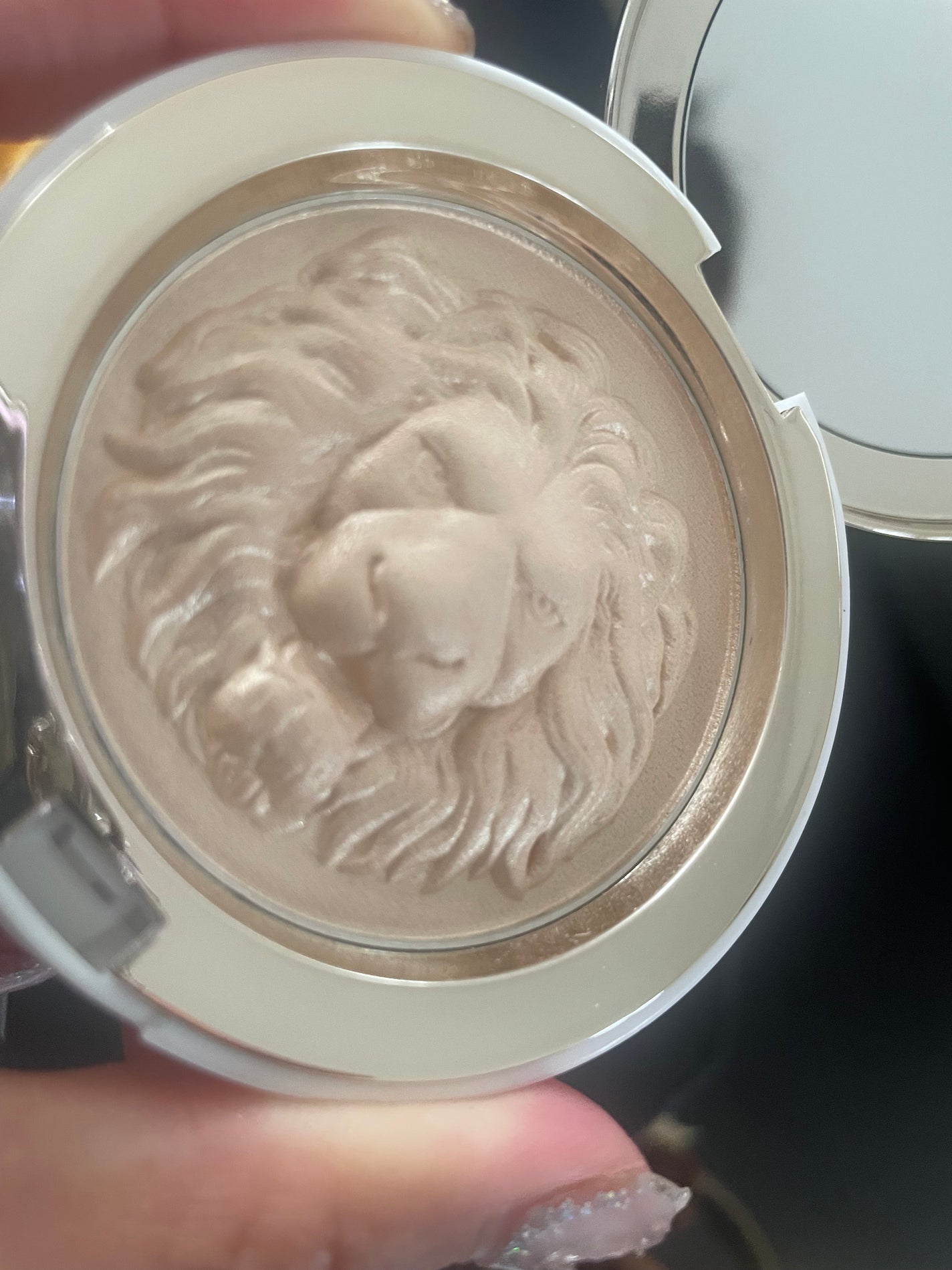 ライオン ハイライト/元絵師/パウダーハイライトを使ったクチコミ(4枚目)