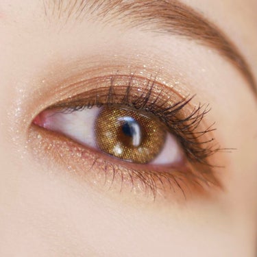 The Bella collection eyeshadow palette #02/CELEFIT/パウダーアイシャドウを使ったクチコミ（2枚目）