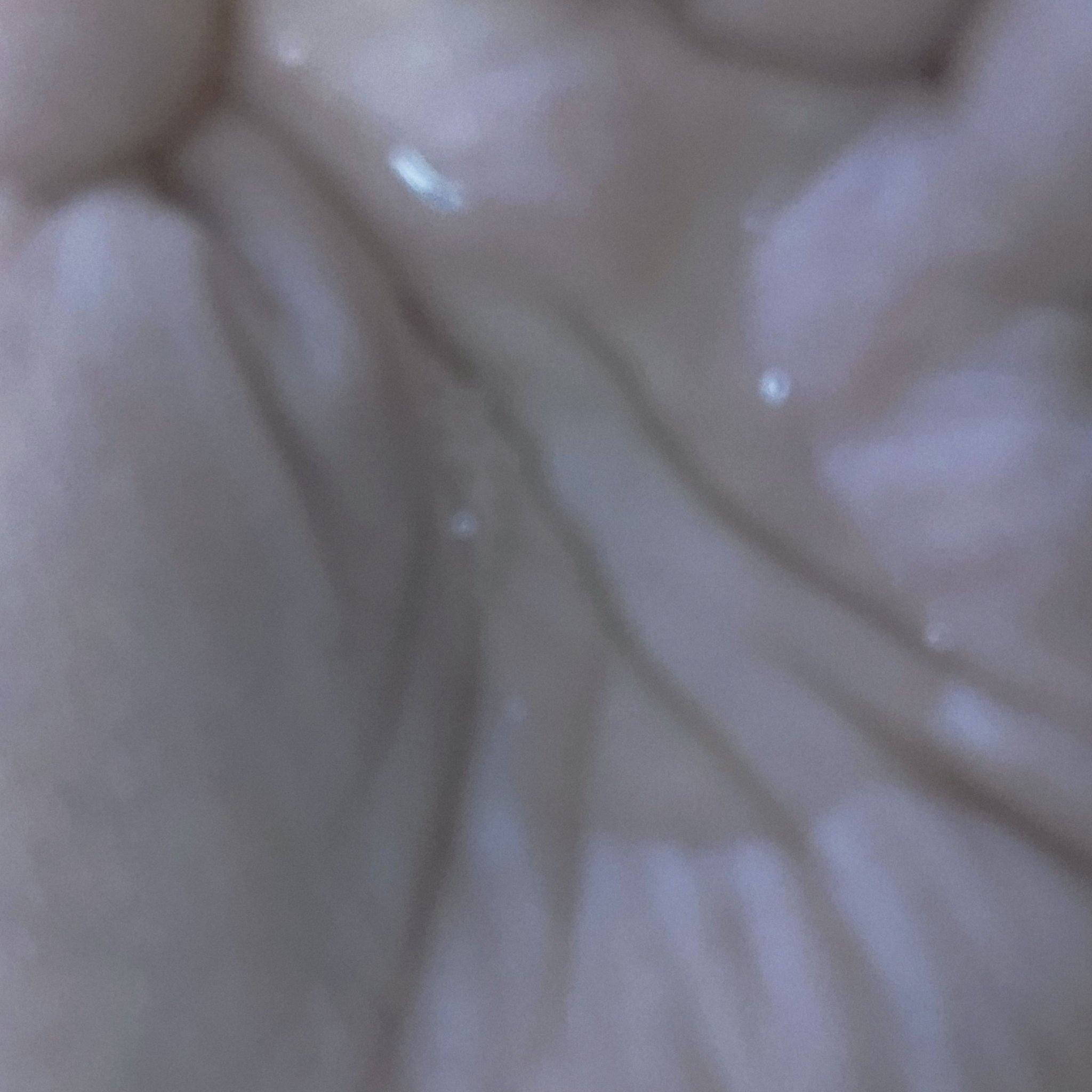 ベネフィーク ローションEX Ⅱ/BENEFIQUE/化粧水を使ったクチコミ（3枚目）