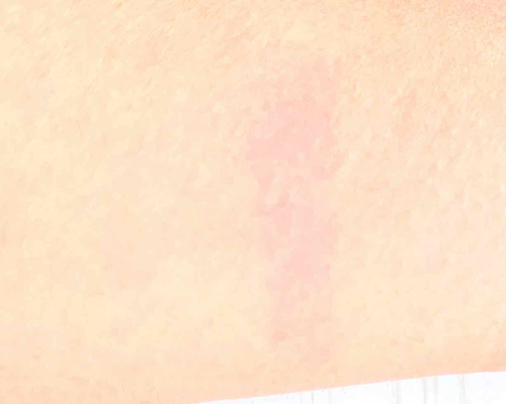 ステイオンバームルージュ/キャンメイク/口紅を使ったクチコミ（3枚目）