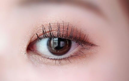 パーフェクトスタイリストアイズ/キャンメイク/アイシャドウパレットを使ったクチコミ(5枚目)