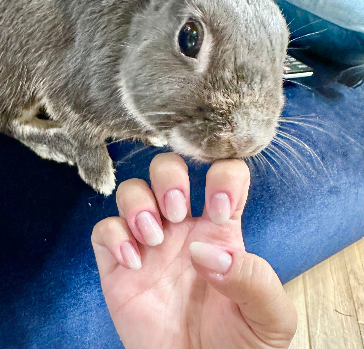 ウィークリージェル/HOMEI/ジェルネイルを使ったクチコミ(6枚目)