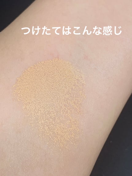 クッション ファンデーション 10/ANNA SUI/クッションファンデーションの画像