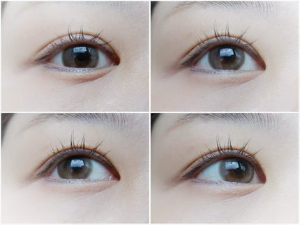 1-DAY Refrear dolemi/Refrear/ワンデー(1DAY)カラコンを使ったクチコミ(1枚目)