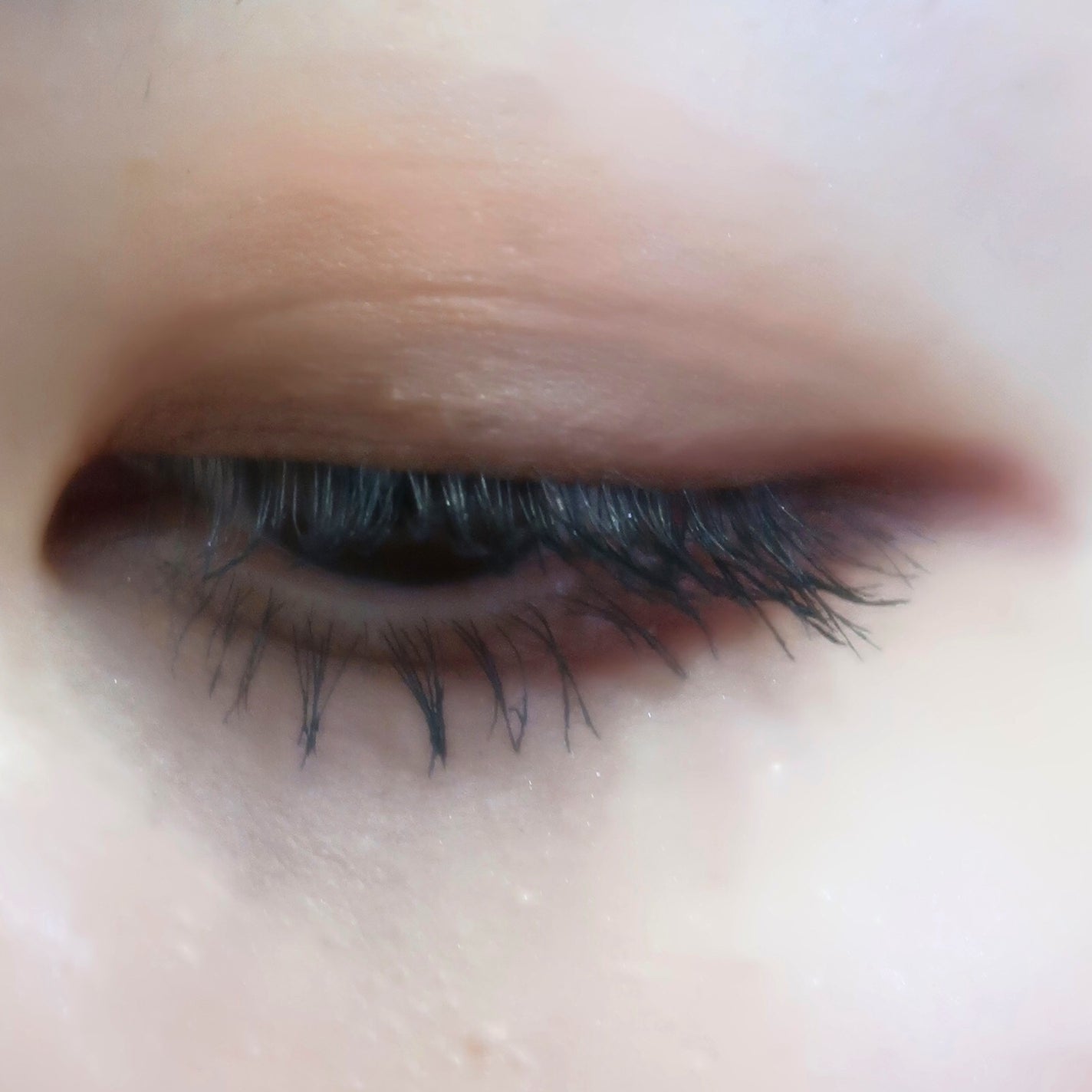 パーフェクトマルチアイズ/キャンメイク/アイシャドウパレットを使ったクチコミ(5枚目)