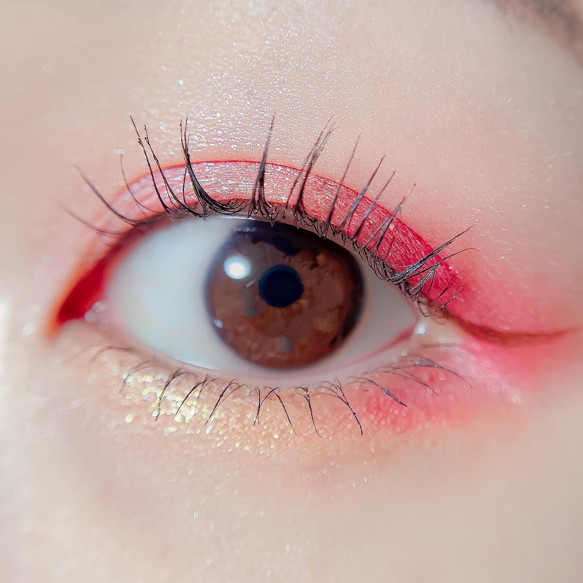 アズキ フィユテ アイ パレット/shu uemura/アイシャドウパレットを使ったクチコミ（3枚目）