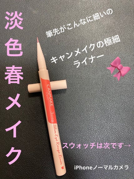 3wayスリムアイルージュライナー/キャンメイク/リキッドアイライナーを使ったクチコミ(1枚目)
