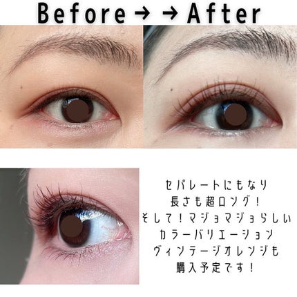 ラッシュエキスパンダー ロングロングロング EX BR606 ラズベリーブラウン 押し花/MAJOLICA MAJORCA/マスカラを使ったクチコミ(2枚目)