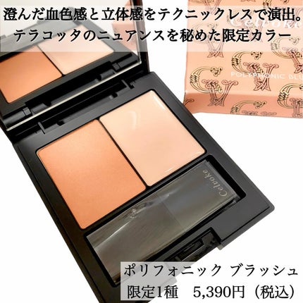 ディグニファイド リップス/Celvoke/口紅を使ったクチコミ(6枚目)