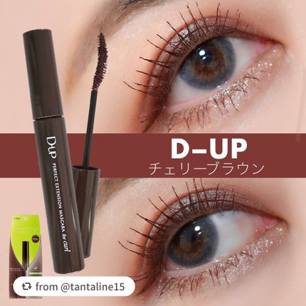 パーフェクトエクステンション マスカラ for カール/D-UP/マスカラを使ったクチコミ(1枚目)