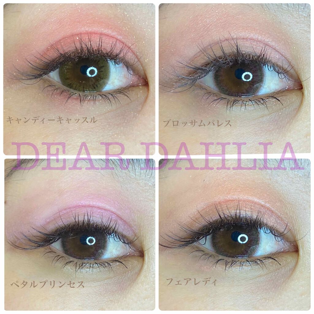 ブルーミング エディション パラダイス デュアル パレット ブラッシャー デュオ/DEAR DAHLIA/単色アイシャドウを使ったクチコミ(1枚目)