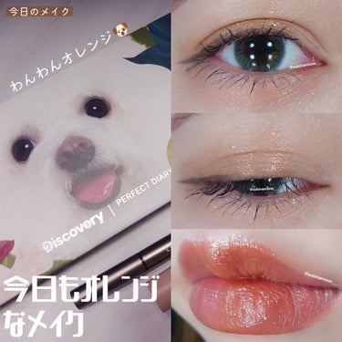 エクスプローラ12色 動物アイシャドウパレット 犬/パーフェクトダイアリー/アイシャドウパレットを使ったクチコミ（1枚目）