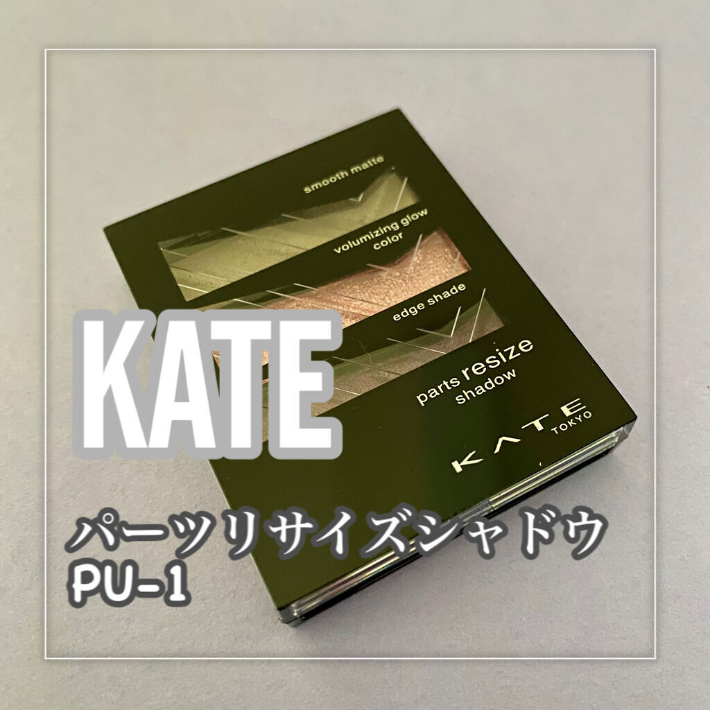 パーツリサイズシャドウ PU-1 グレイッシュパープル/KATE/アイシャドウパレットを使ったクチコミ（2枚目）
