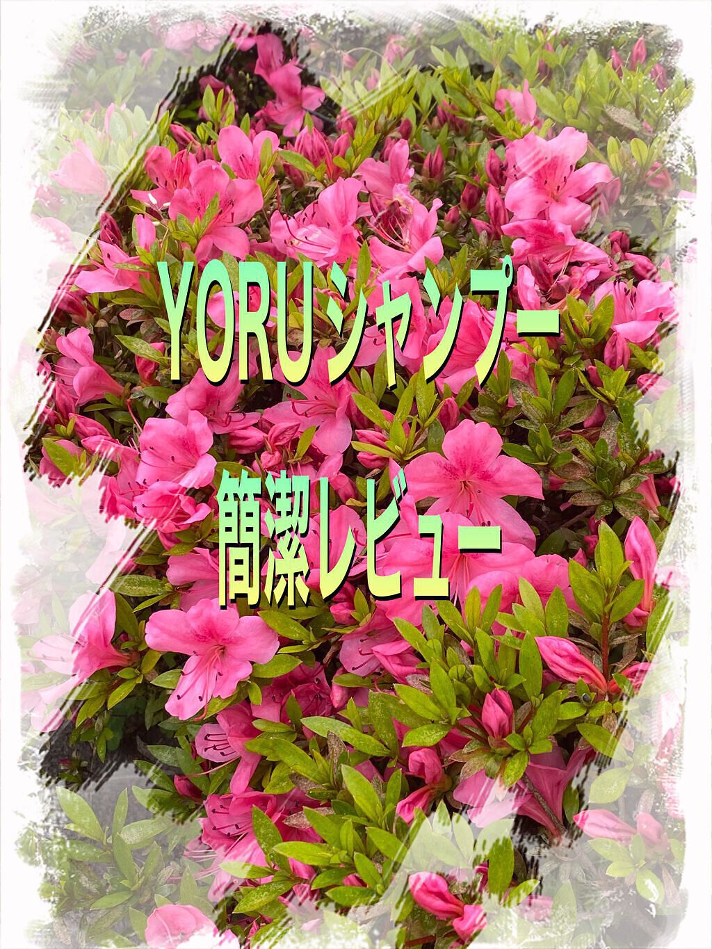 カームナイトリペアシャンプー/トリートメント/YOLU/市販シャンプーを使ったクチコミ(1枚目)