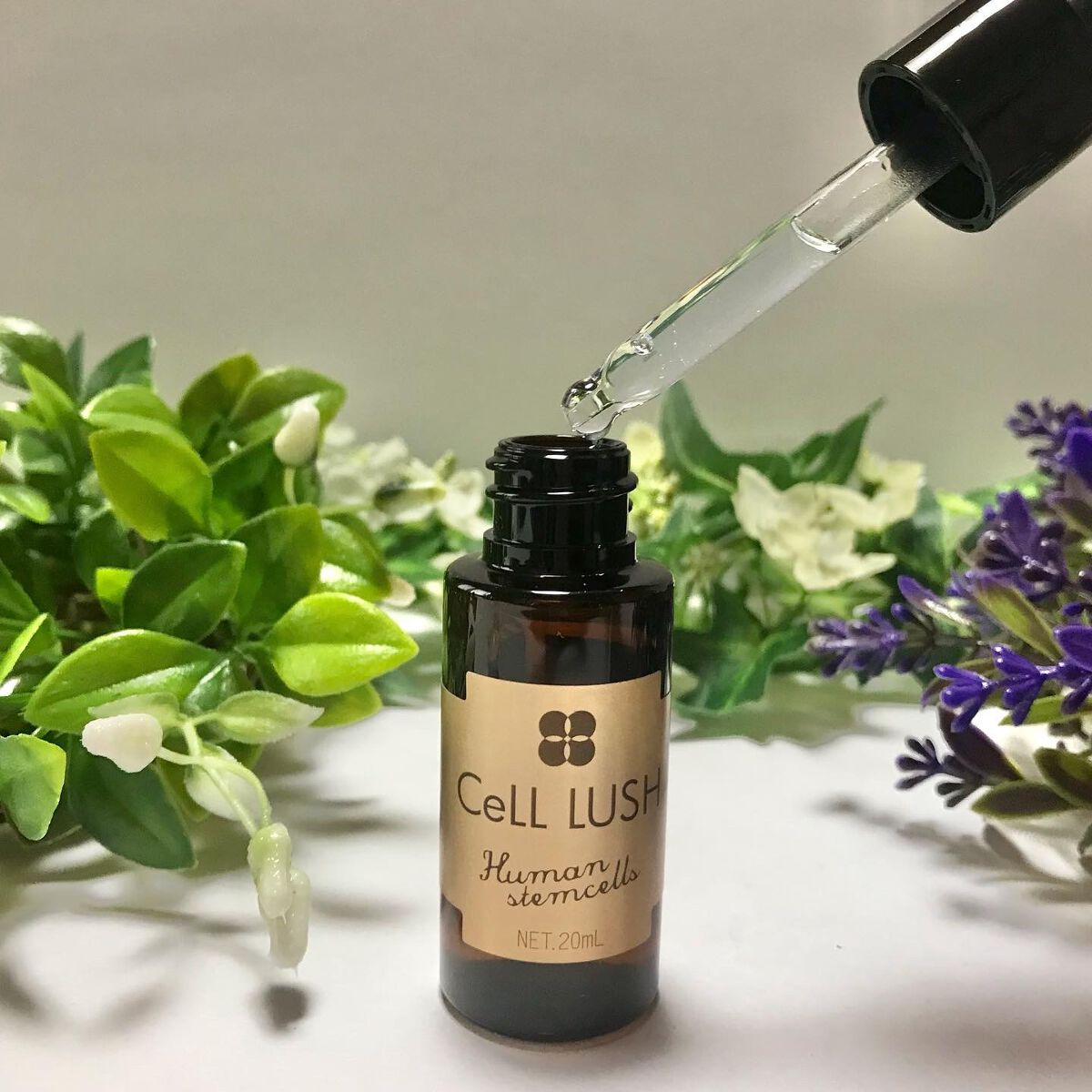 ヒト幹細胞配合美容液/セルラッシュ/美容液を使ったクチコミ（3枚目）