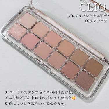 プロ アイ パレット エアー/CLIO/パウダーアイシャドウを使ったクチコミ（2枚目）