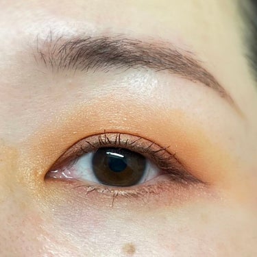 Bronzed Rustic Eyeshadow Palette/Juvia's Place/アイシャドウパレットを使ったクチコミ（5枚目）