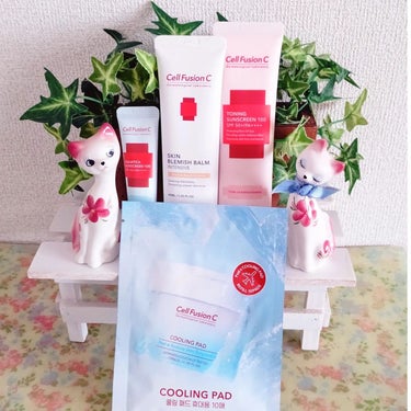 Cell FusionC
メガ割限定 かわいあやこセット
✽SKIN BLEMISH BALM INTENSIVE
✽TONING SUNSCREEN 100
✽AQUATICA SUNSCREEN 1