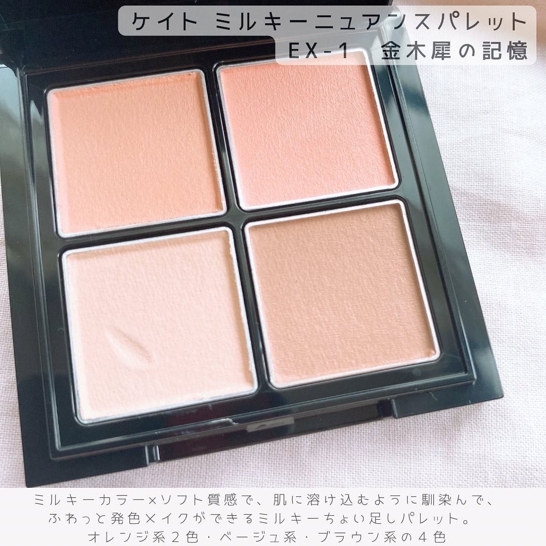 キャンバスペイントパレット/KATE/マルチパレットを使ったクチコミ(4枚目)