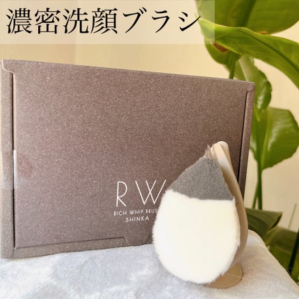 リッチホイップブラシSHINKA(シンカ)/SHOBIDO/その他スキンケアグッズを使ったクチコミ(1枚目)