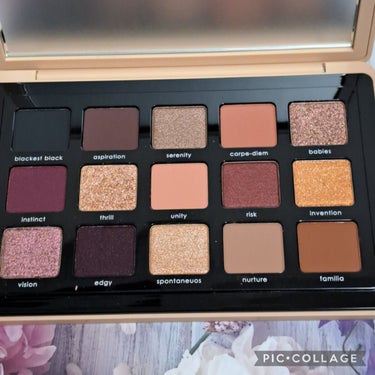 Natasha Denona my dream paletteのクチコミ「今年はアイシャドウはもう買わない‼️と思っていましたが、このパレットはスルーできなかった💦

.....」（2枚目）