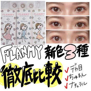 FLANMY 1day（10枚/30枚） シェルサンドミルク/FLANMY/ワンデー（１DAY）カラコンを使ったクチコミ（1枚目）