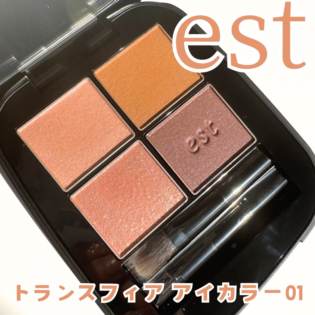 エスト トランスフィア アイカラー/est/アイシャドウパレットを使ったクチコミ（1枚目）