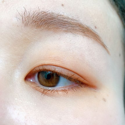 アイカラー プレイフル BR06/エレガンス クルーズ/単色アイシャドウの画像