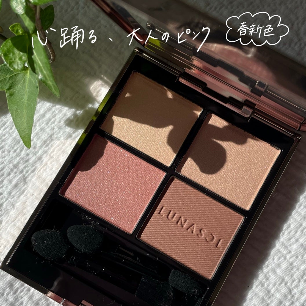 ルナソル アイカラーレーションN/LUNASOL/アイシャドウパレットを使ったクチコミ(1枚目)