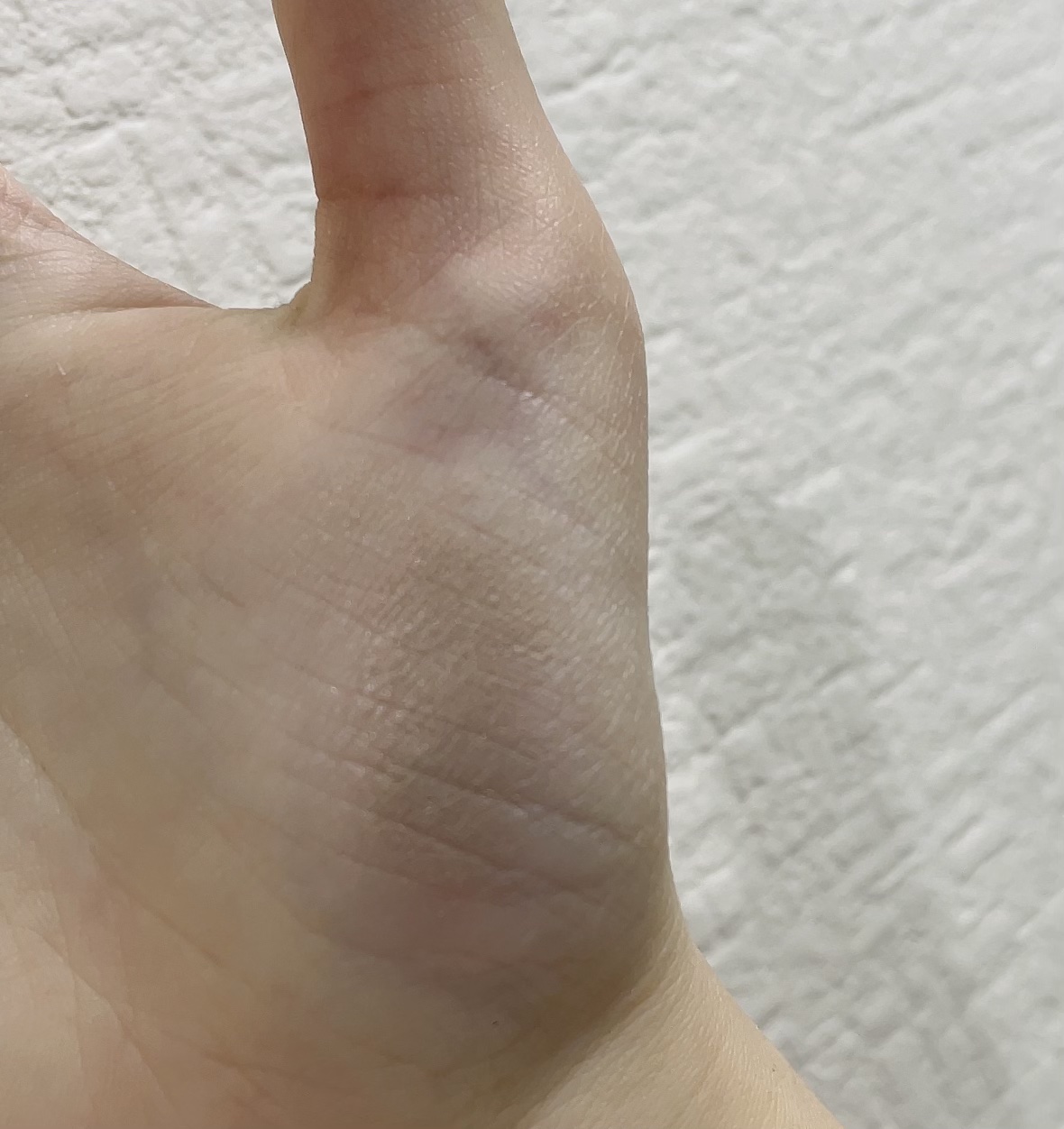 ザ コントゥア カラー(パウダー)/Visée/ハイライト・シェーディングを使ったクチコミ（2枚目）