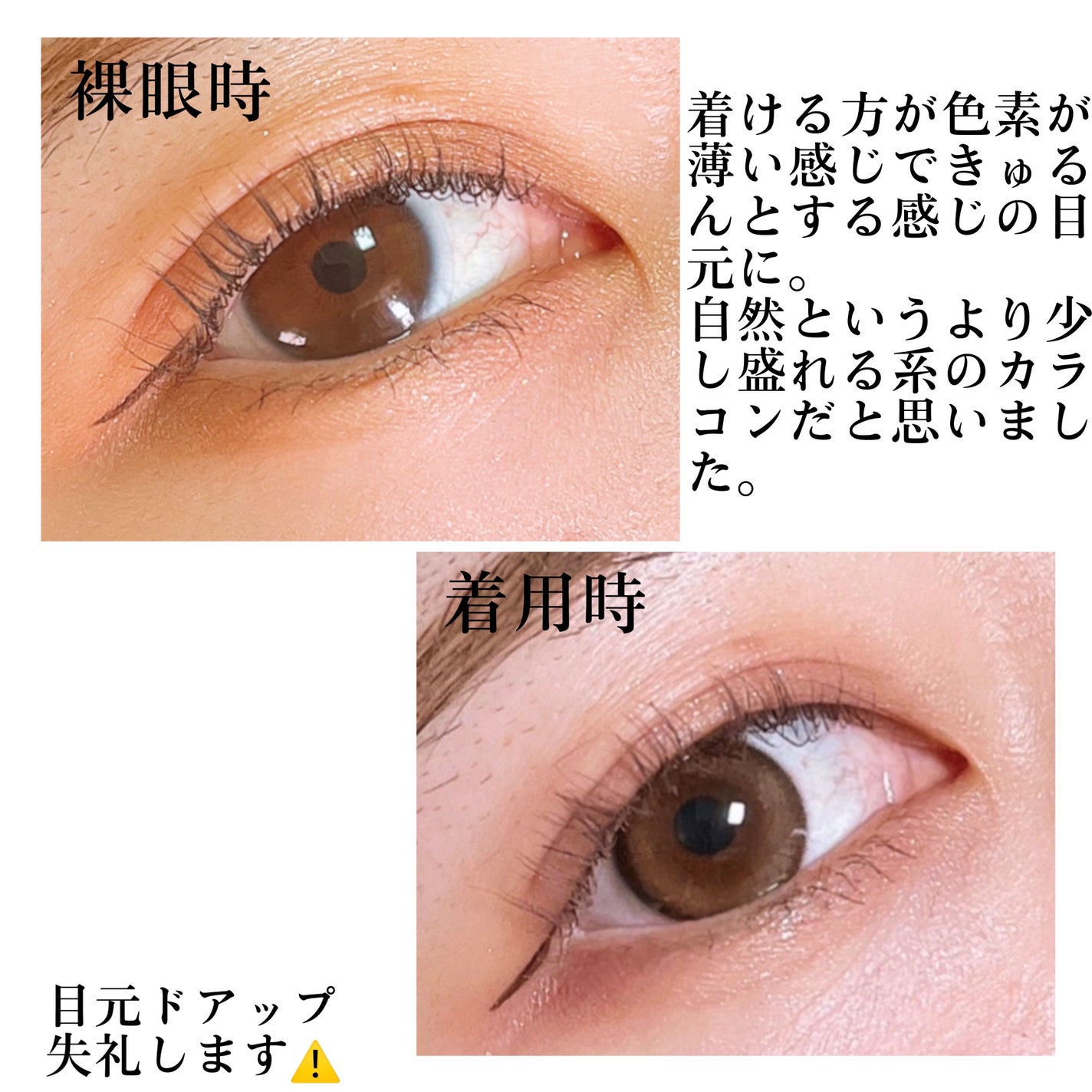 melotte 1day/melotte/ワンデー(1DAY)カラコンを使ったクチコミ(2枚目)