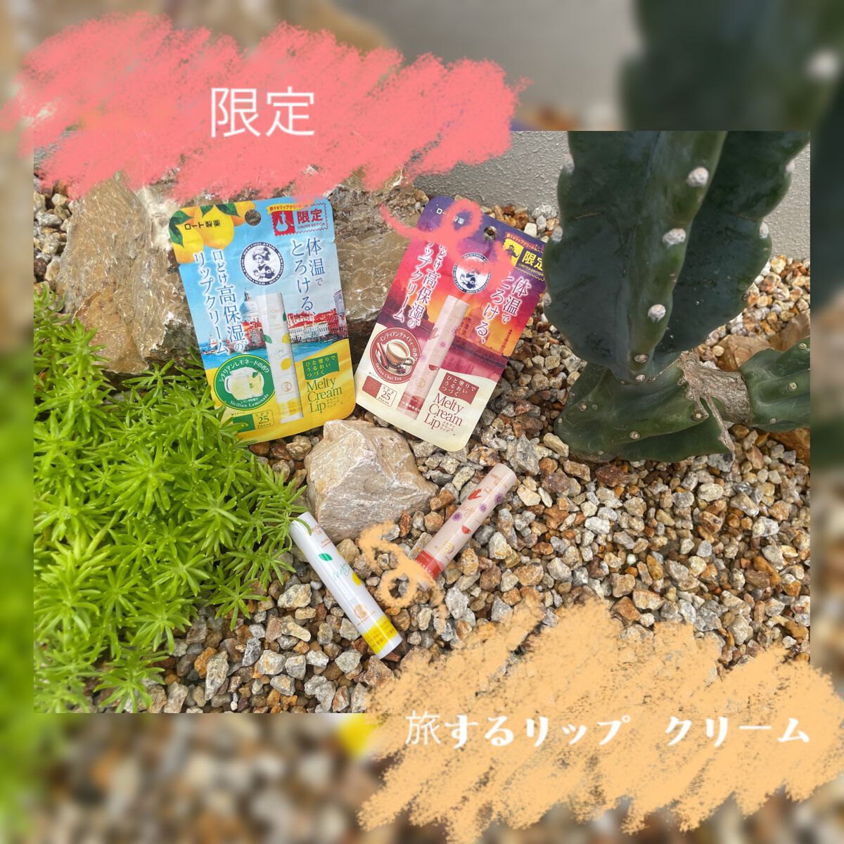 ちゃんまぃ on LIPS 「💄✨毎年限定フレーバーを限定発売している「旅するリップクリーム..」(1枚目)