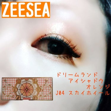 ZEESEA「ファンタジーパーク」12色アイシャドウパレット J04スカイホイール/ZEESEA/アイシャドウパレットを使ったクチコミ（1枚目）