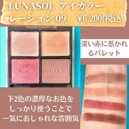 アイカラーレーション/LUNASOL/アイシャドウパレットを使ったクチコミ(2枚目)