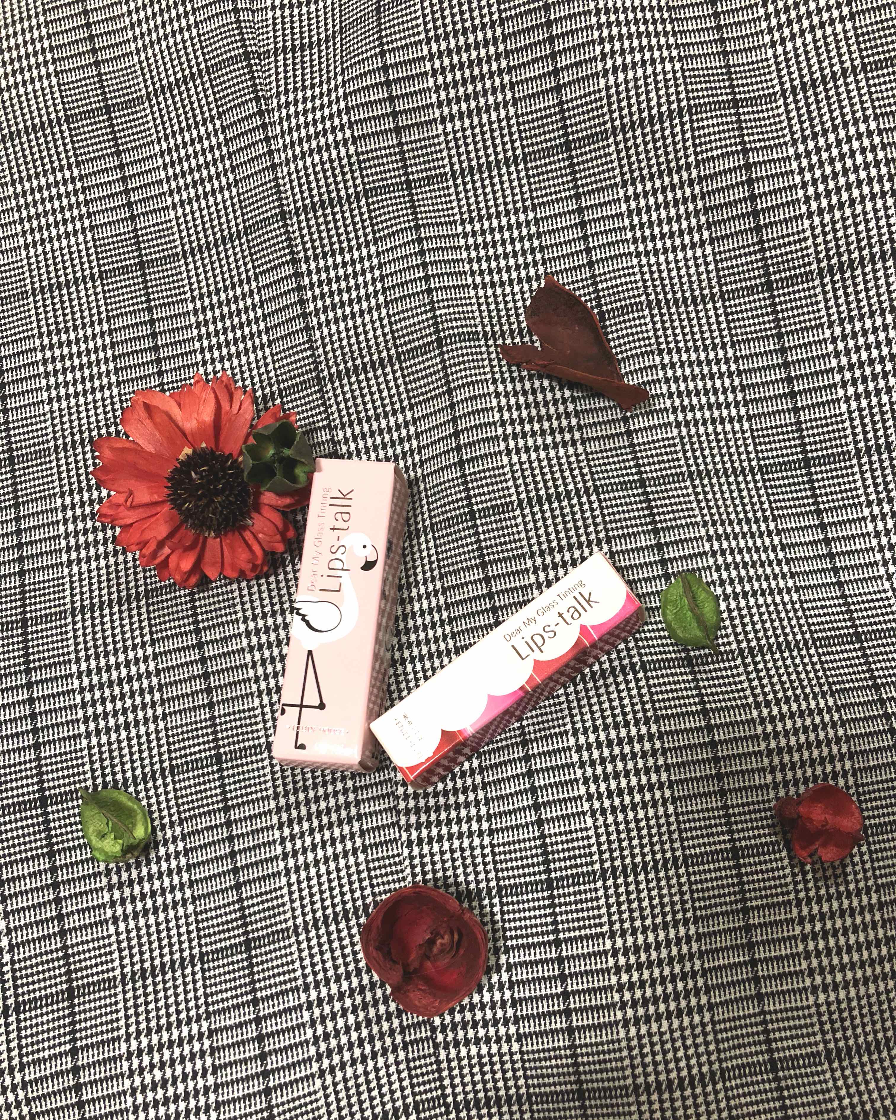 ディアマイ グロッシーティントリップトーク/ETUDE/リップグロスを使ったクチコミ（1枚目）