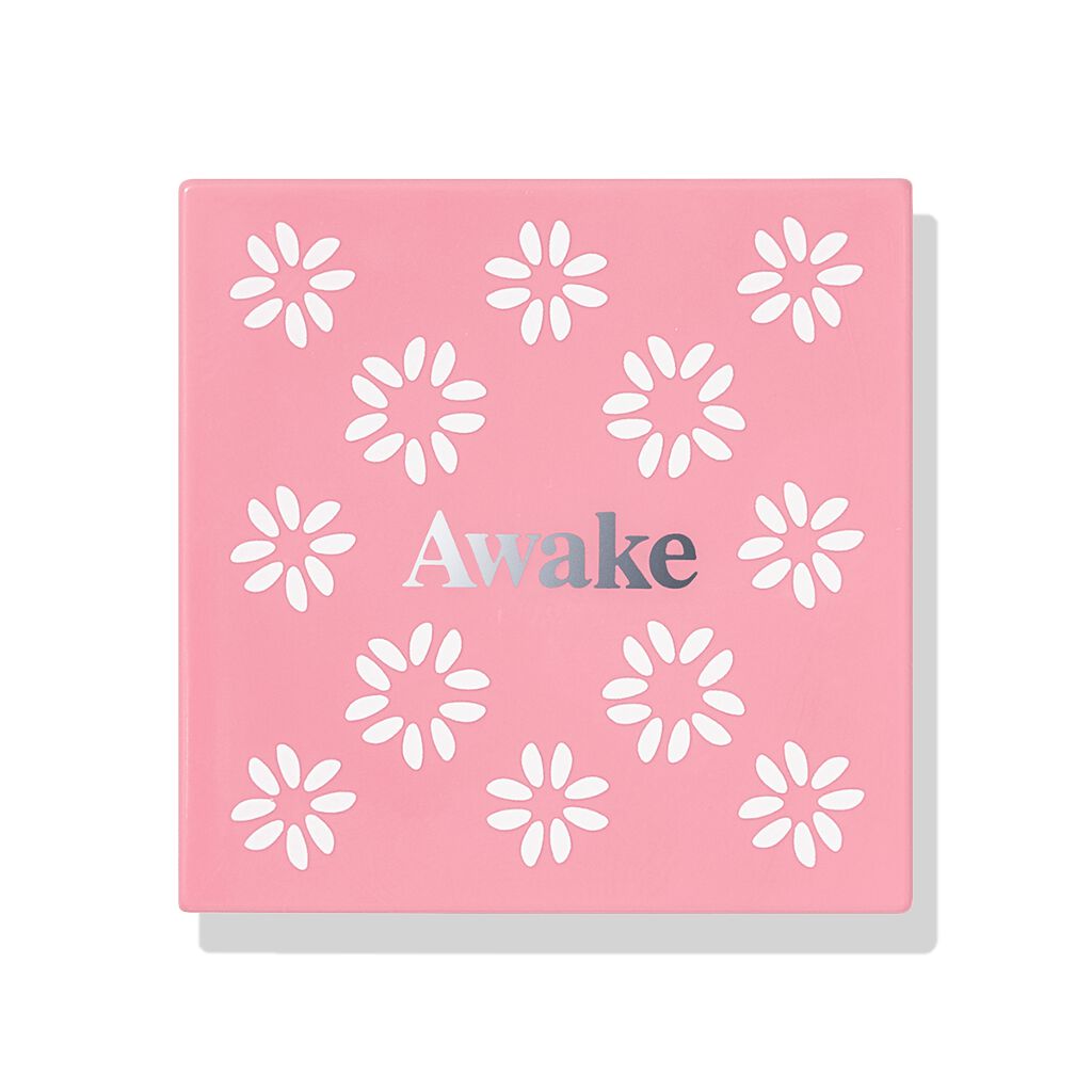 チアミーアップ グロウイング ブラッシュ&リップ Awake