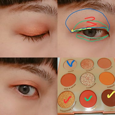 ORANGE YOU GLAD/ColourPop/アイシャドウパレットを使ったクチコミ（2枚目）