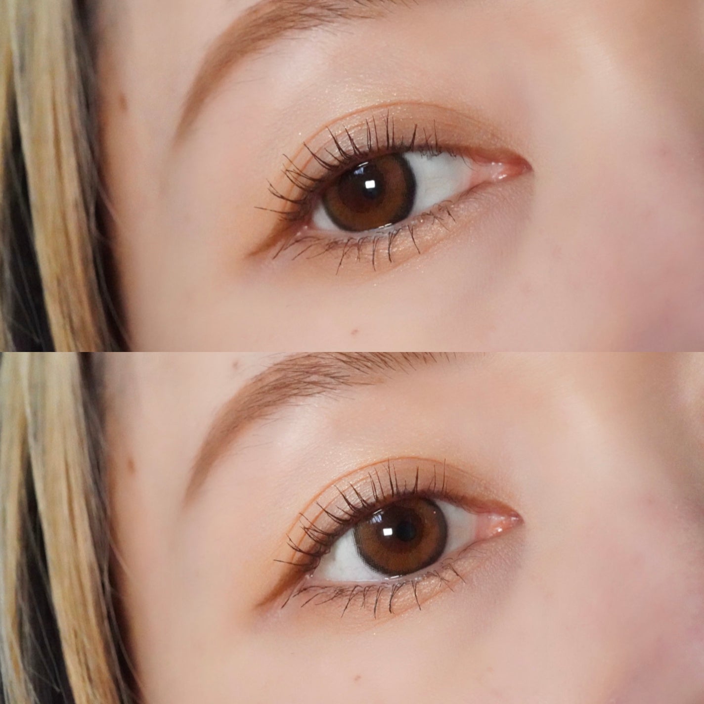 WAVEワンデー UV リング プラス フラワーコレクション/WAVE/ワンデー(1DAY)カラコンを使ったクチコミ(3枚目)