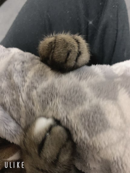 йаÑsÏ
ð¥ã³ã¹ã¡ð奜ããããšæ²¢å±±ç¹ããããð on LIPS ãããŠãã®æ¬¡ç·åã·ãªãŒãºðââ¬ðŸðããã€ãããŠãã®æ¬¡ç·åã·ãªãŒãº..ãïŒ4æç®ïŒ