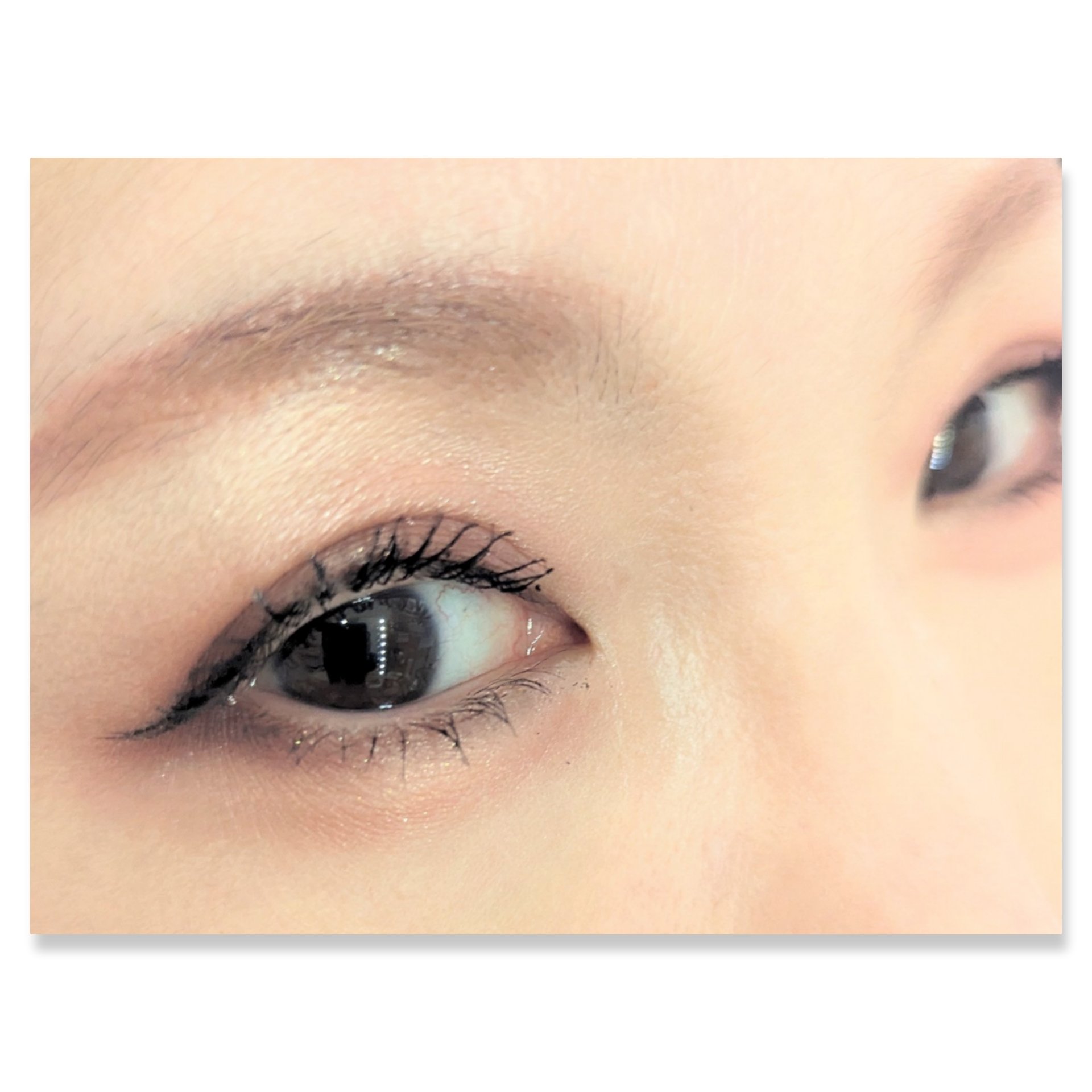 バーチャルアイズメイカー/KATE/アイシャドウパレットを使ったクチコミ（2枚目）