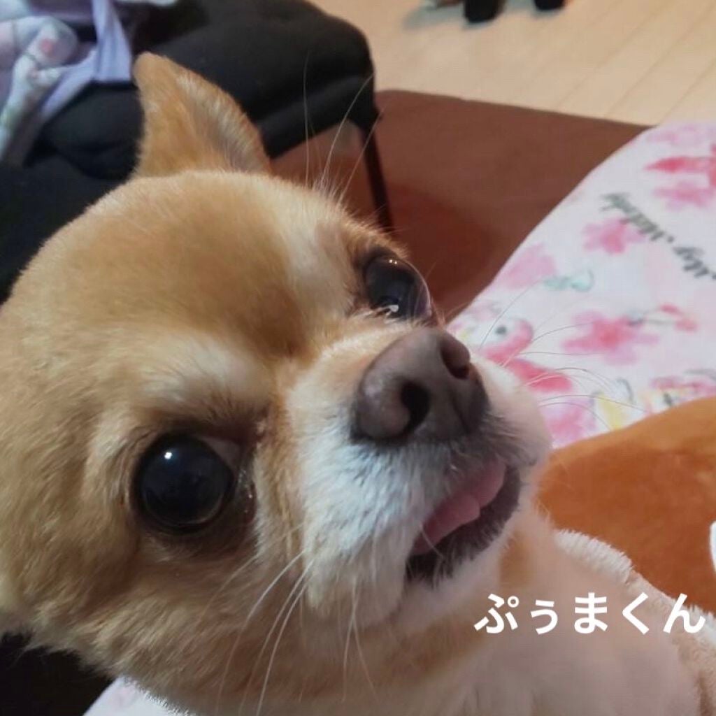 ジルスチュアート ブルームドロップ リップ&チーク シフォン/JILL STUART/リキッドチークを使ったクチコミ(9枚目)