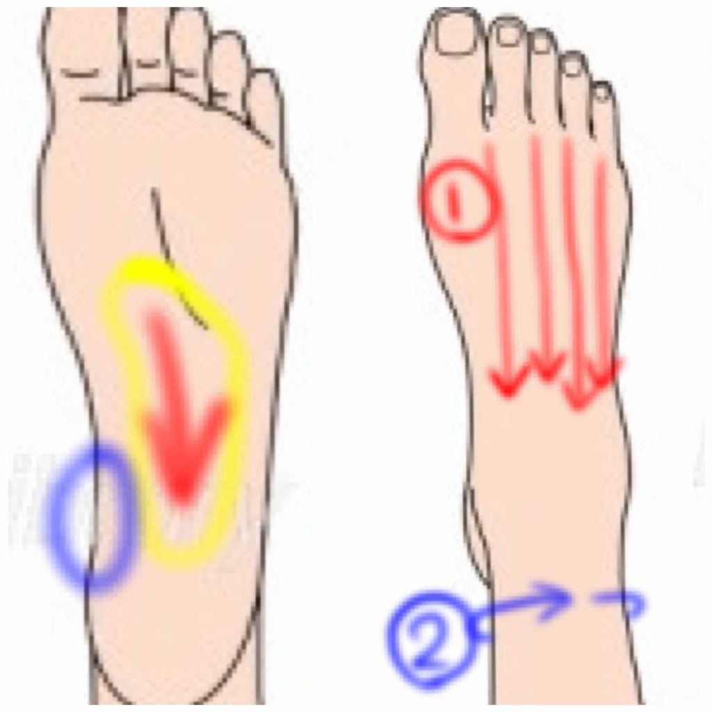 おやすみ美脚スーパーロング/SLIMWALK/着圧ソックス・レギンスを使ったクチコミ（2枚目）