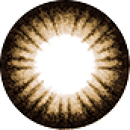 ブラウン(プリンセス)