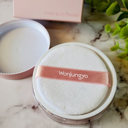 ウォンジョンヨ フィクシングブラーパウダー N/Wonjungyo/ルースパウダーを使ったクチコミ(2枚目)
