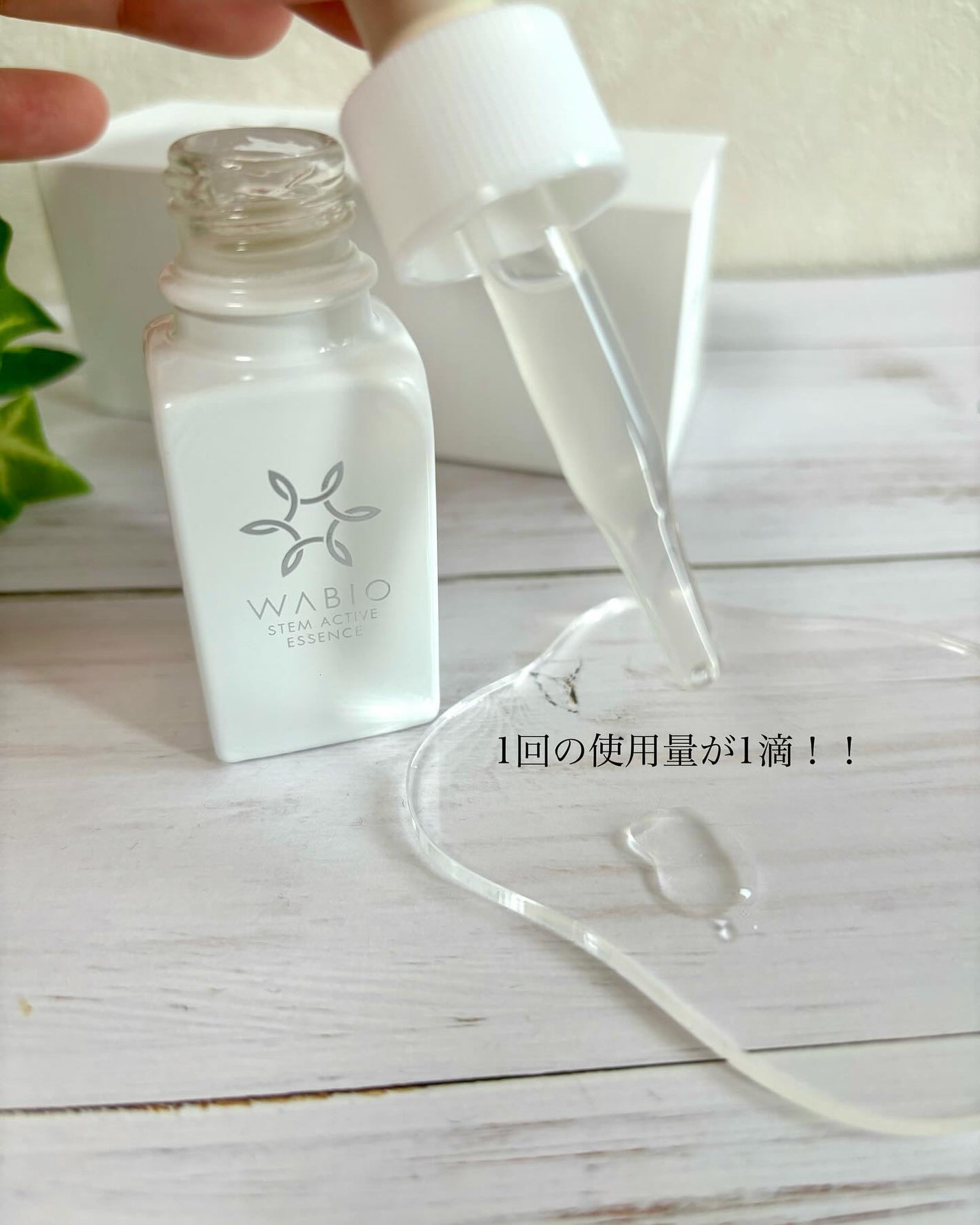ステム アクティブ エッセンス/WABIO/美容液を使ったクチコミ(3枚目)